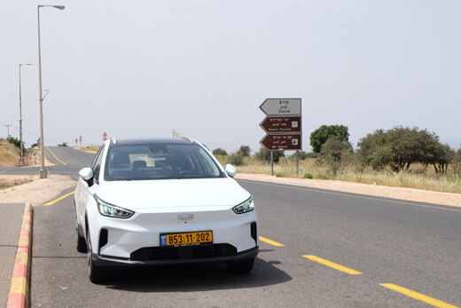 ג'ילי גיאומטרי C ביער אודם ג'ילי גיאומטרי C ביער אודם